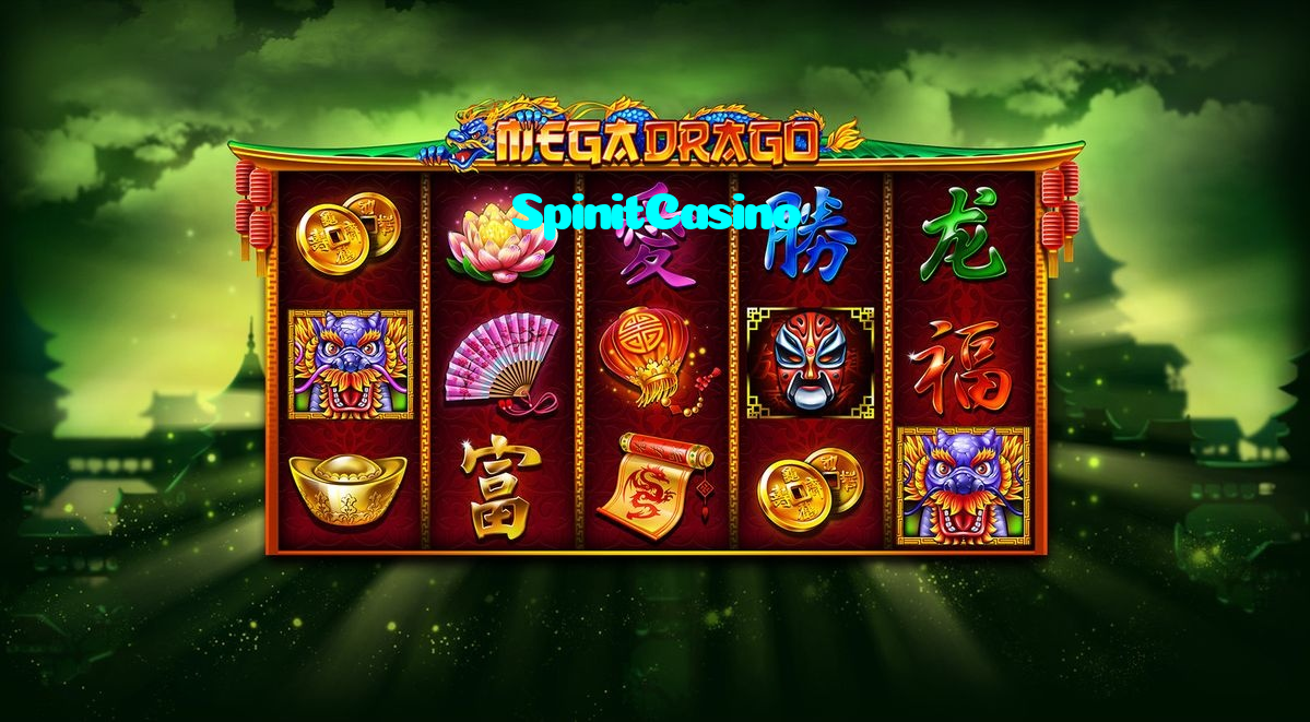 available types of SpinitCasino bet including pre-match live express and system bets